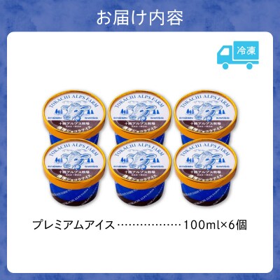 十勝アルプス牧場 濃厚ショコラアイス6個セット