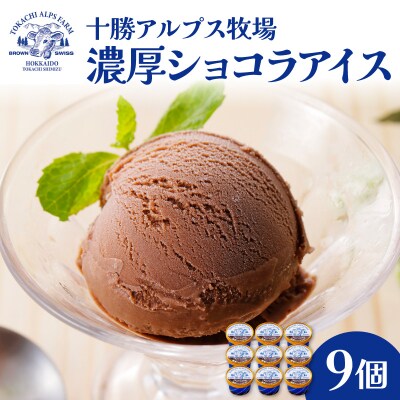 十勝アルプス牧場 濃厚ショコラアイス9個セット