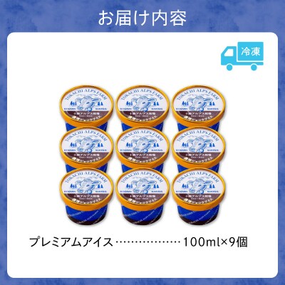 十勝アルプス牧場 濃厚ショコラアイス9個セット