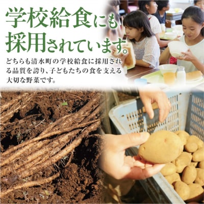 北海道産 越冬じゃがいも10kgと越冬ごぼう5kgセット