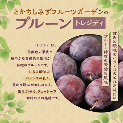 【2026年発送!】とかちしみずの冷凍プルーン2種食べ比べ 1.2kg 北海道産_S009-0020