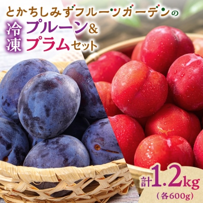 【2026年発送!】冷凍プルーン・プラムセット1.2kg 北海道産_S009-0021