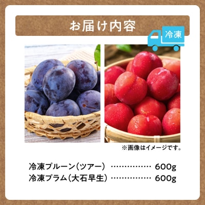 【2026年発送!】冷凍プルーン・プラムセット1.2kg 北海道産_S009-0021