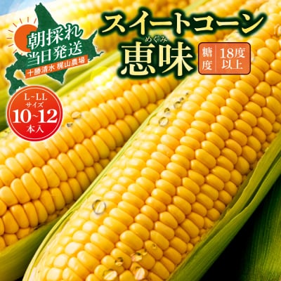 先行受付!【8月頃～発送開始】北海道十勝清水町産とうもろこし 恵味 サイズ混合 10本 