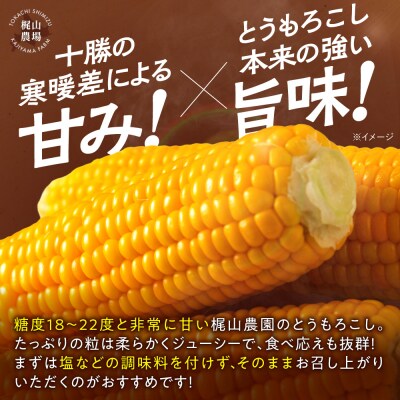 先行受付!【8月頃～発送開始】北海道十勝清水町産とうもろこし 恵味 サイズ混合 10本 