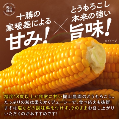 先行受付!【8月頃～発送開始】北海道十勝清水町産とうもろこし 恵味 サイズ混合 10本 