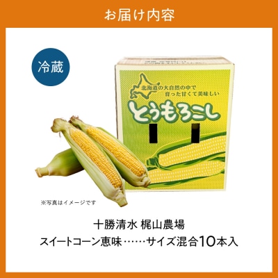 先行受付!【8月頃～発送開始】北海道十勝清水町産とうもろこし 恵味 サイズ混合 10本 