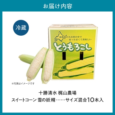 先行受付!【8月中旬頃～発送開始】北海道十勝清水町産とうもろこし 雪の妖精 サイズ混合 10本