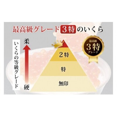 【TVで紹介!】最高級3特 国産 味付 いくら 宝壽 醤油漬 120g×2 [20565081] ◎