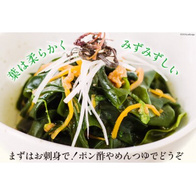 三陸産 おさしみわかめ 300g [ムラカミ 宮城県 気仙沼市 20563586] ◎
