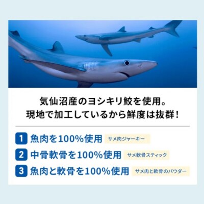 UMINO PET サメ軟骨スティック 40g×1個 [石渡商店 20563943] ◎