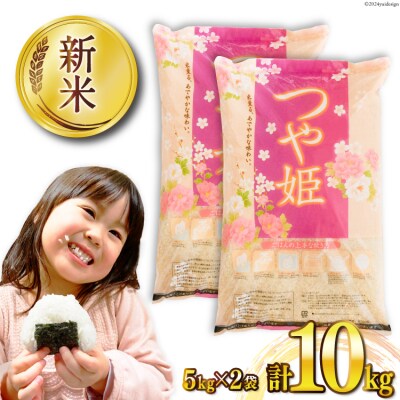 米 宮城県産 つや姫 10kg (5kg×2袋) 20564676 ◎