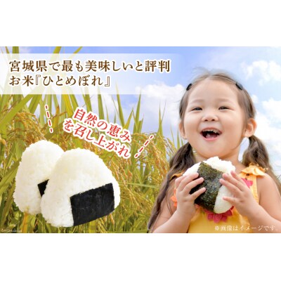 3回 定期 米 宮城県産  ひとめぼれ 10kg(5kg×2) 計30kg 20564931 ◎