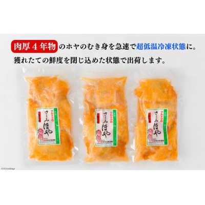 黄金のさしみ ほや 300g×3 [宮城県 気仙沼市 20563427] ◎