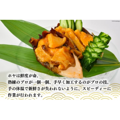 黄金のさしみ ほや 300g×3 [宮城県 気仙沼市 20563427] ◎