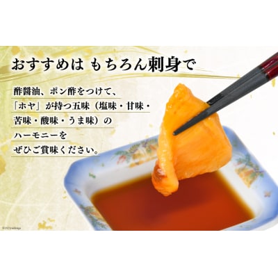 黄金のさしみ ほや 300g×3 [宮城県 気仙沼市 20563427] ◎