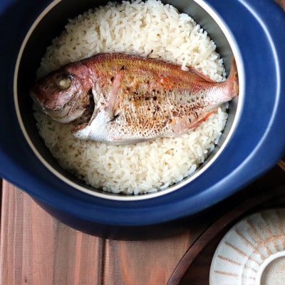 best pot 16cm マロンレッド