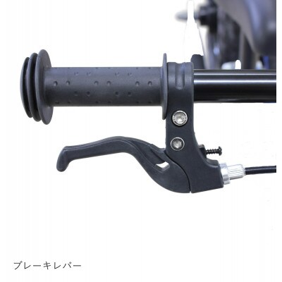 HEADキックバイク　ライトグリーン
