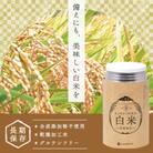 もっちりつや炊き 白米 24缶入/1ケース　賞味期限2029年12月<災害 防災 備蓄>