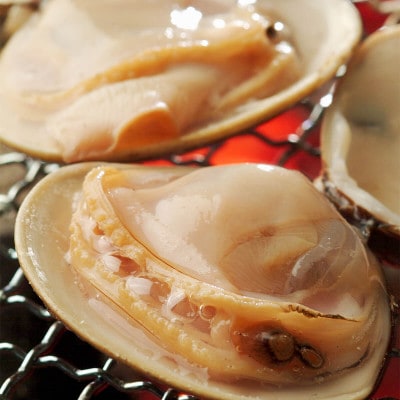 三重県産畜養はまぐり3kg