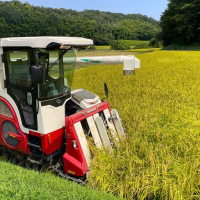 【令和8年産】新米 こしひかり(精米)10kg 鈴鹿山麓の銘水が育てた米