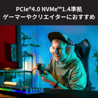 キオクシア(KIOXIA)内蔵SSD EXCERIA PLUS G3 2TB