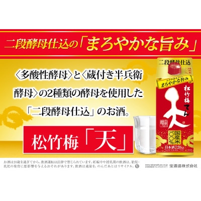 宝酒造 松竹梅 天(てん) パック 720ml 6本
