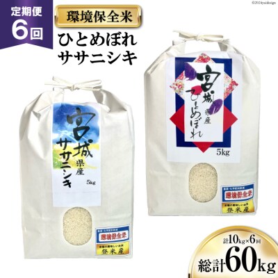 6回 定期 米 宮城県産 ササニシキ ひとめぼれ 環境保全米 計60kg 20564941 ◎