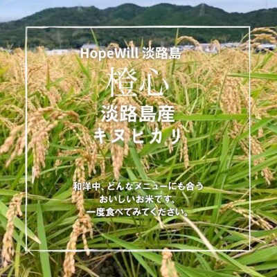 淡路島産「橙心(きぬひかり)」　玄米20kg