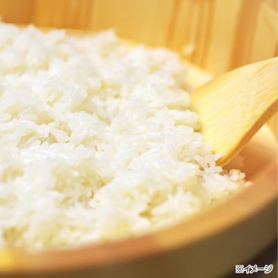淡路島産「橙心(きぬひかり)」　玄米20kg