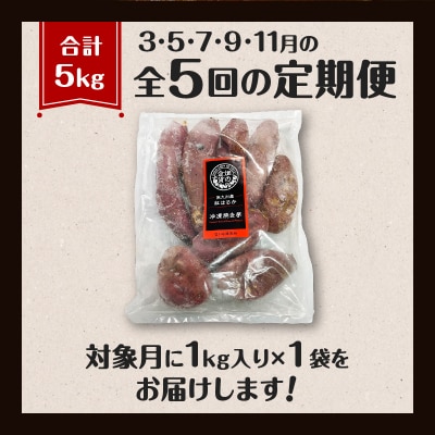 【全5回】【畑の金貨】焼き芋紅はるか1kg 定期便　K181-T01