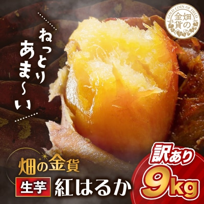 畑の金貨　生芋　訳あり紅はるか9kg　K181-007