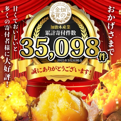 畑の金貨　生芋　訳あり紅はるか9kg　K181-007