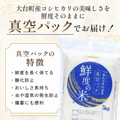 こしひかり精米(真空パック)5kg
