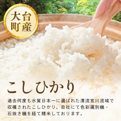 こしひかり精米(真空パック)5kg