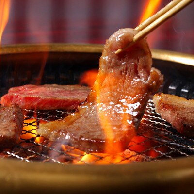 松阪牛焼肉(モモ・バラ) 500g