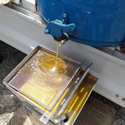 つくばで採れたはちみつ150g×3本詰合せ 茨城県 つくば市産