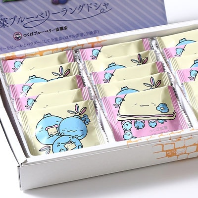つくば藍菓ブルーベリーラングドシャ15枚×2個