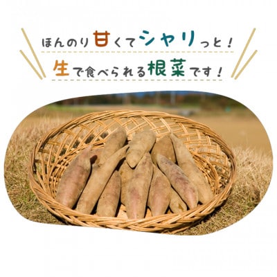 筑波颪(つくばおろし)の恵み皮付き干し芋&つくばのヤーコンうどんの詰め合わせ