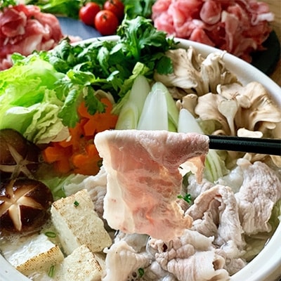 みらい豚もも肉切り落とし・みらい豚挽肉セット2.5kg　村下商事シリーズ　【離島・沖縄配送不可】