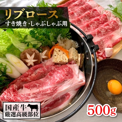厳選高級部位牛ロース(すき焼き・しゃぶしゃぶ用)500g【離島・沖縄配送不可】