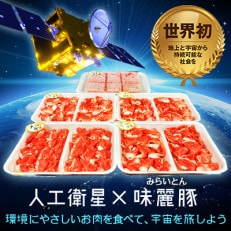 味麗(みらい)豚もも肉切落し・挽き肉セット&amp;衛星へのお名前刻印権付～地上と宇宙から持続可能な未来を～