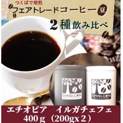 【のし付き】つくばで焙煎 コーヒー豆 エチオピア イルガチェフェ 200g×2種 飲み比べ 缶入り