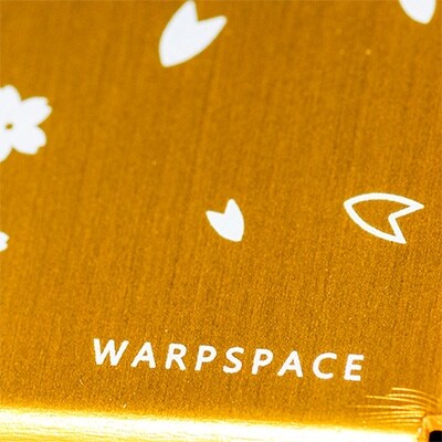 小型衛星WARP-01【お名前刻印コース】(1名様分)数量限定【9月28日(土)迄受付】