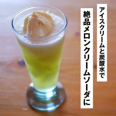 【ベルファームつくば】搾りたてメロンジュース　100%　100g×15パック【離島・沖縄配送不可】