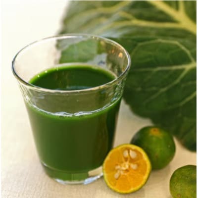 【毎月定期便】青汁シークワーサー入り 100g×30パック【離島・沖縄配送不可】全6回