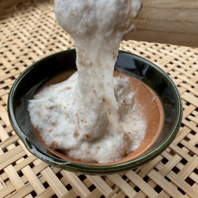 満点自然薯　約1.5kg化粧箱入り(2～3本入)