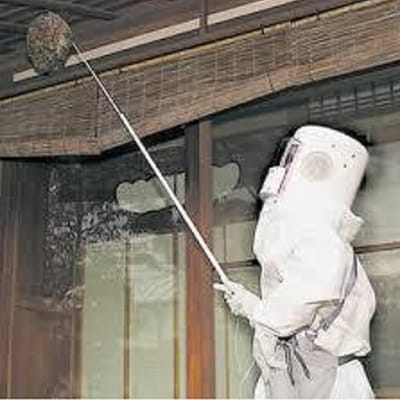 【ダスキンつくば学園支店】蜂の巣駆除(1回分)