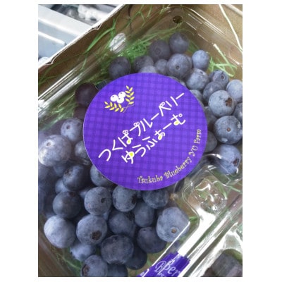 朝摘みブルーベリー500g【離島・沖縄配送不可】