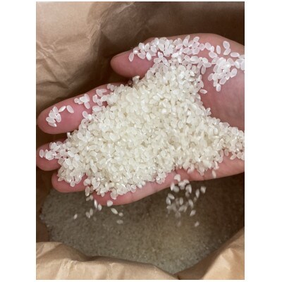 コシヒカリ(精米)10kg×1袋